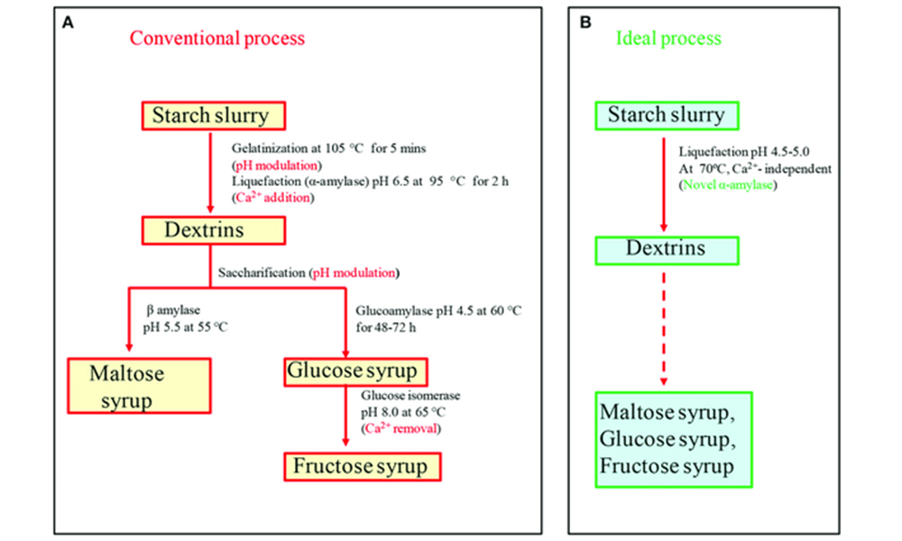 mashing process，brewery equipment